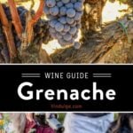 Grenache Wine Guide Pin