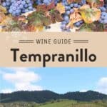 Tempranillo Wine Guide