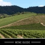 Tempranillo Wine Guide