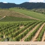 Tempranillo Wine Guide