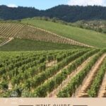 Tempranillo Wine Guide