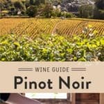 Pinot Noir Wine Guide