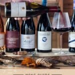 Pinot Noir Wine Guide