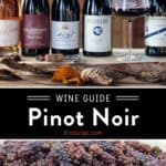 Pinot Noir Wine Guide