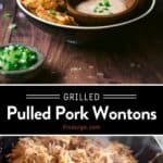 Pulled Pork Wontons