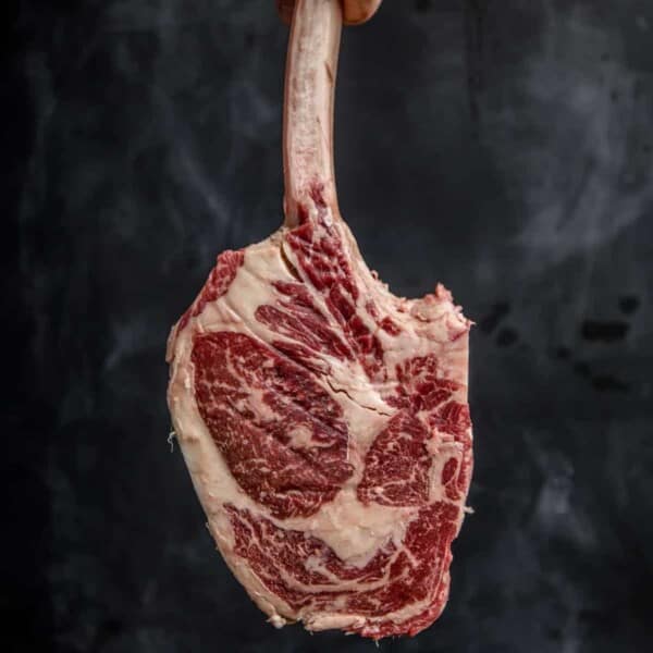 Holding an American Wagyu Tomahawk Steak from Snake River Farms.