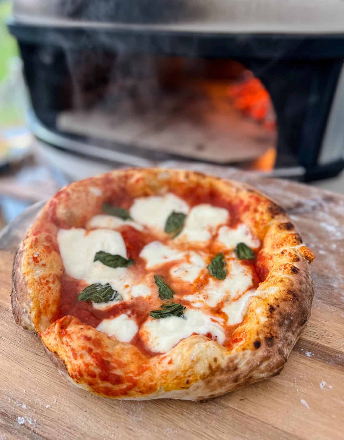 A Margherita Pizza cooked in a Gozney Dome wood fired pizza oven