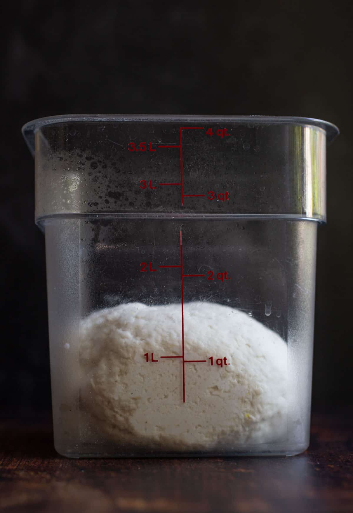Gluten free pizza dough in a container going through the first rise.