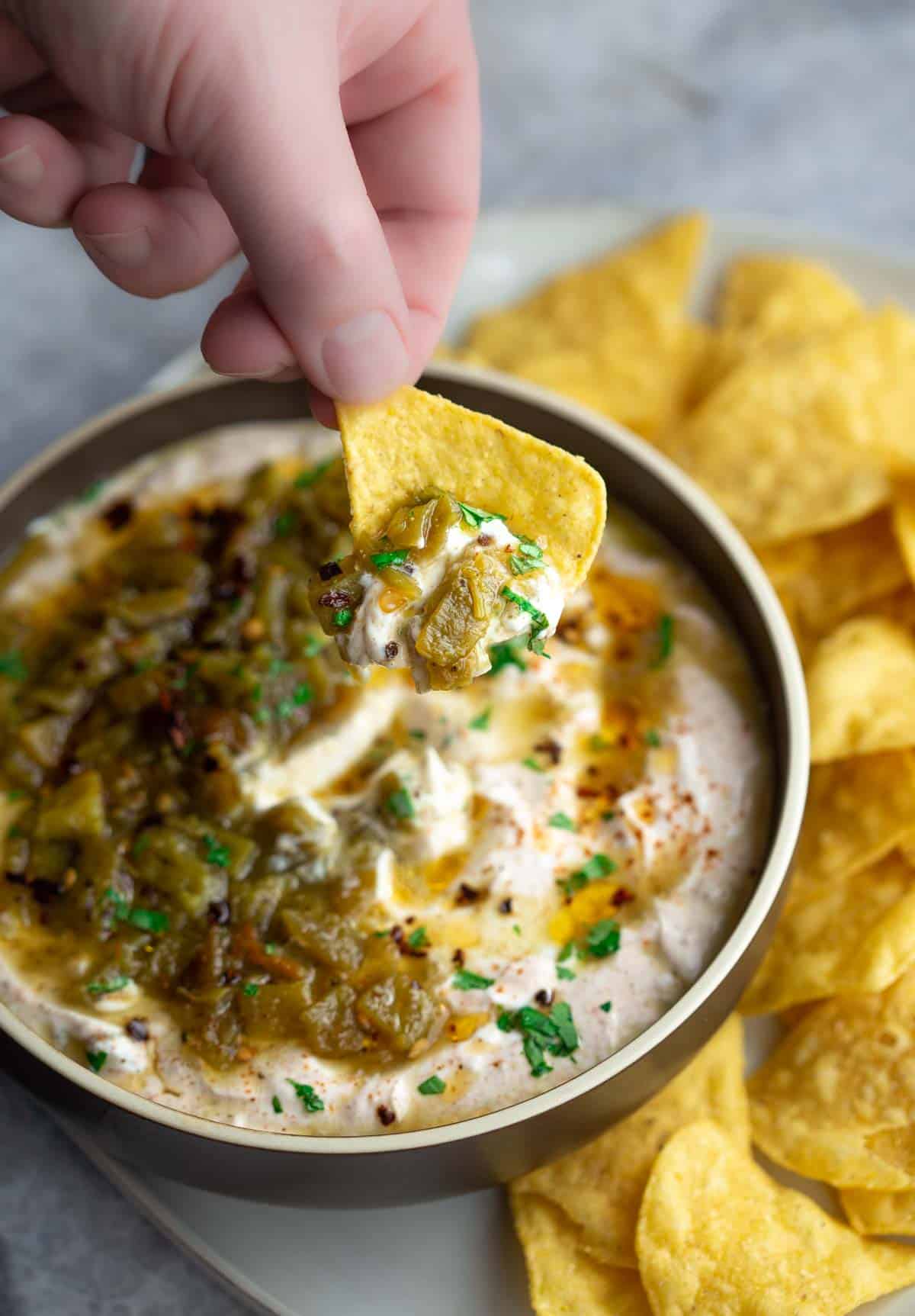 Easy Greek Yogurt Dip Recipe With Green Chile - Vindulge