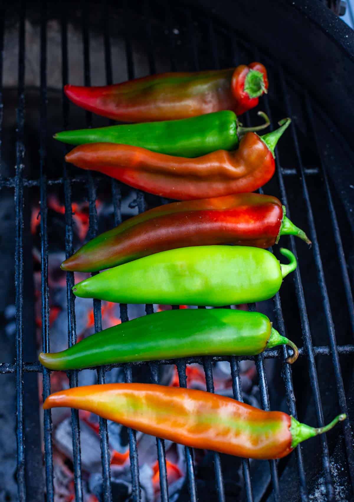 Green chile gradients of red and green chile.