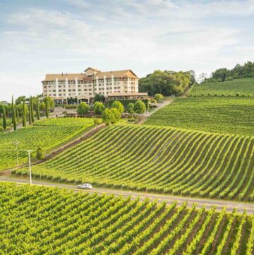 Brazilian vineyard and hotel on a hill.