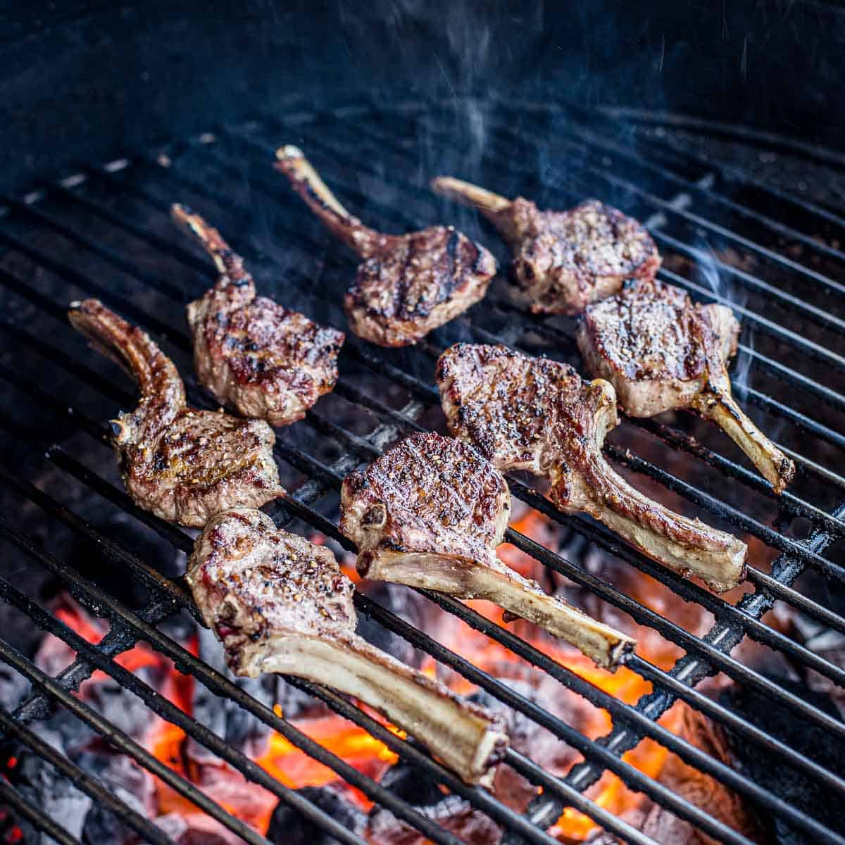 Grilled Lamb Chops - Amanda's Cookin' - On the Grill