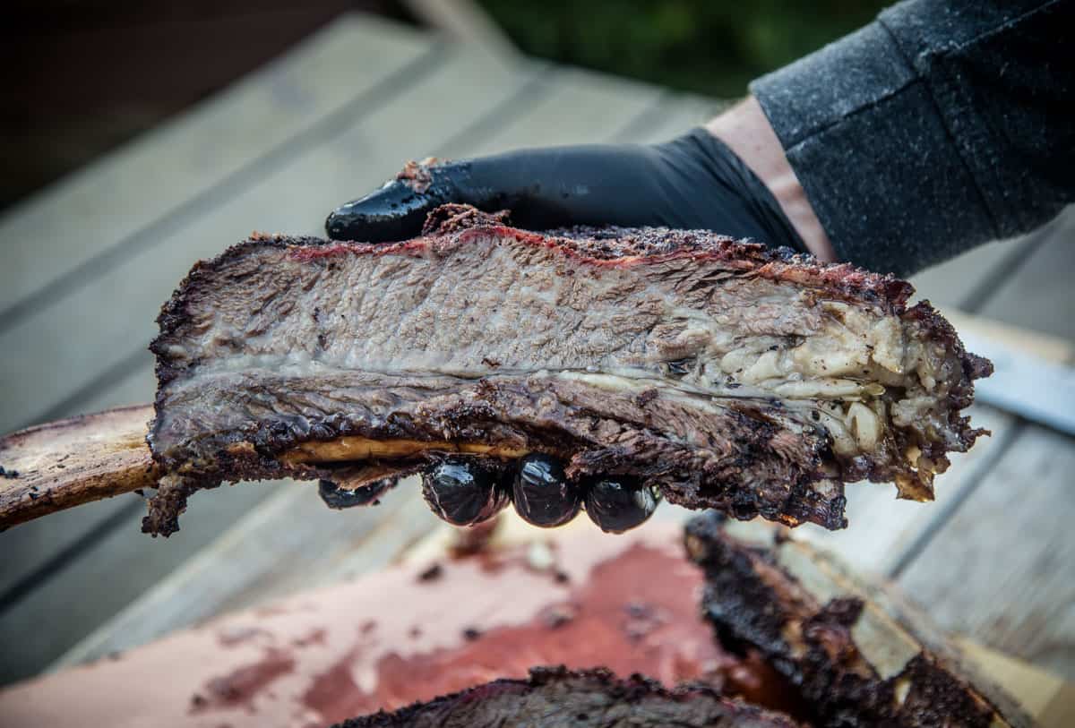 Holding a single smoked beef rib