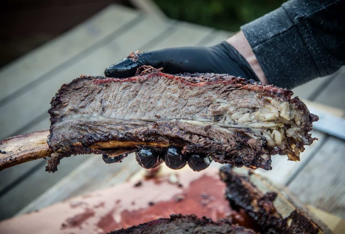 Holding a single smoked beef rib 