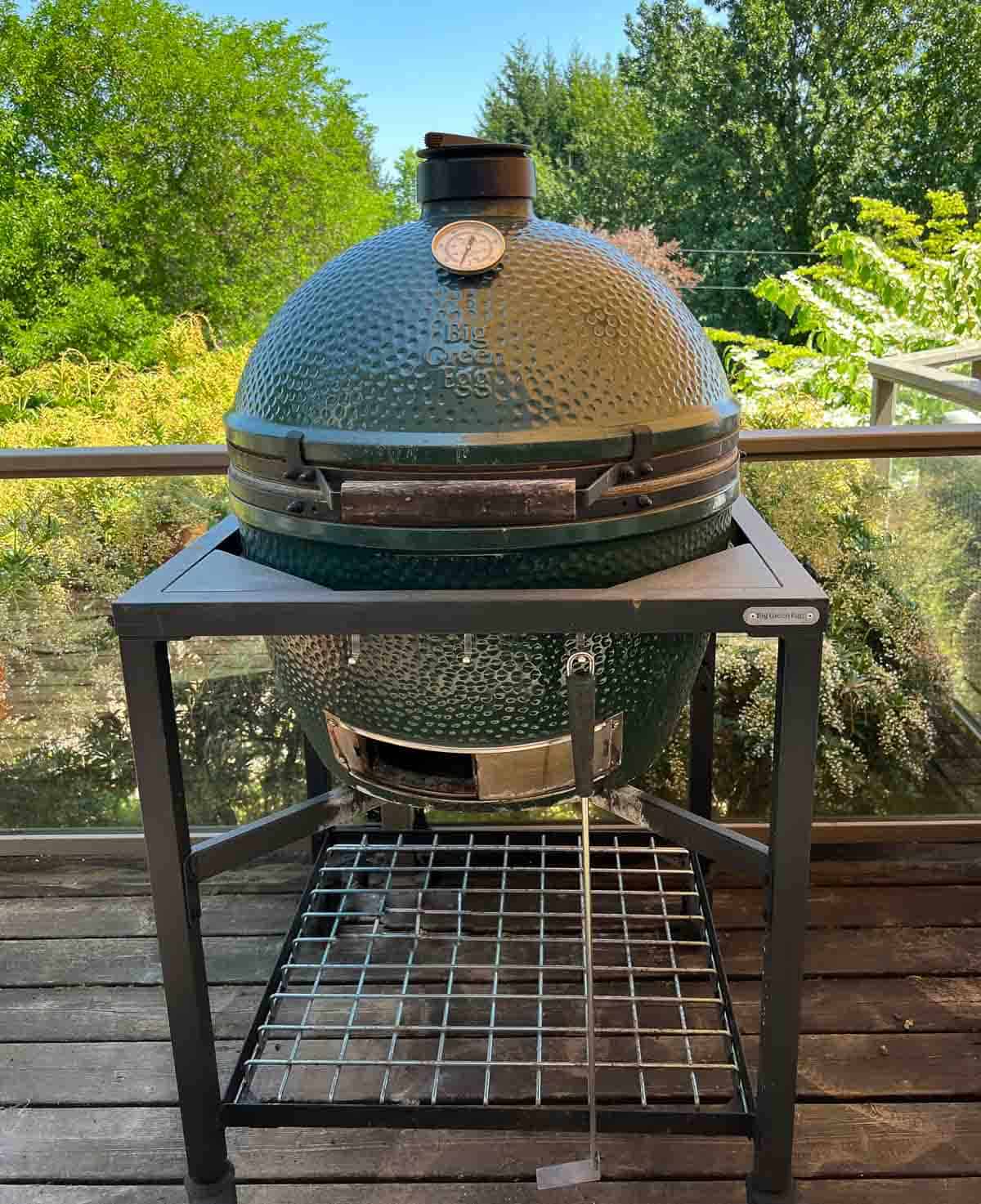 a Big Green Egg Grill free of mold