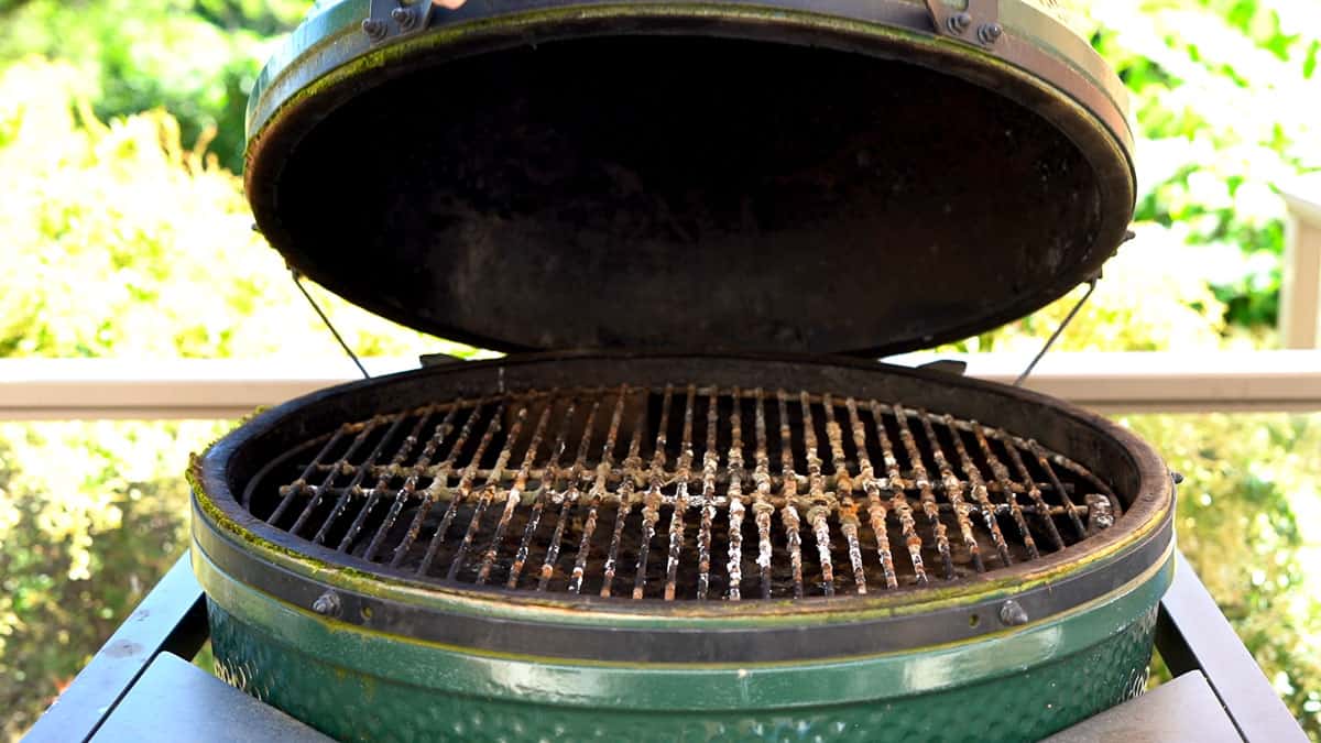 Mold on a big green egg.