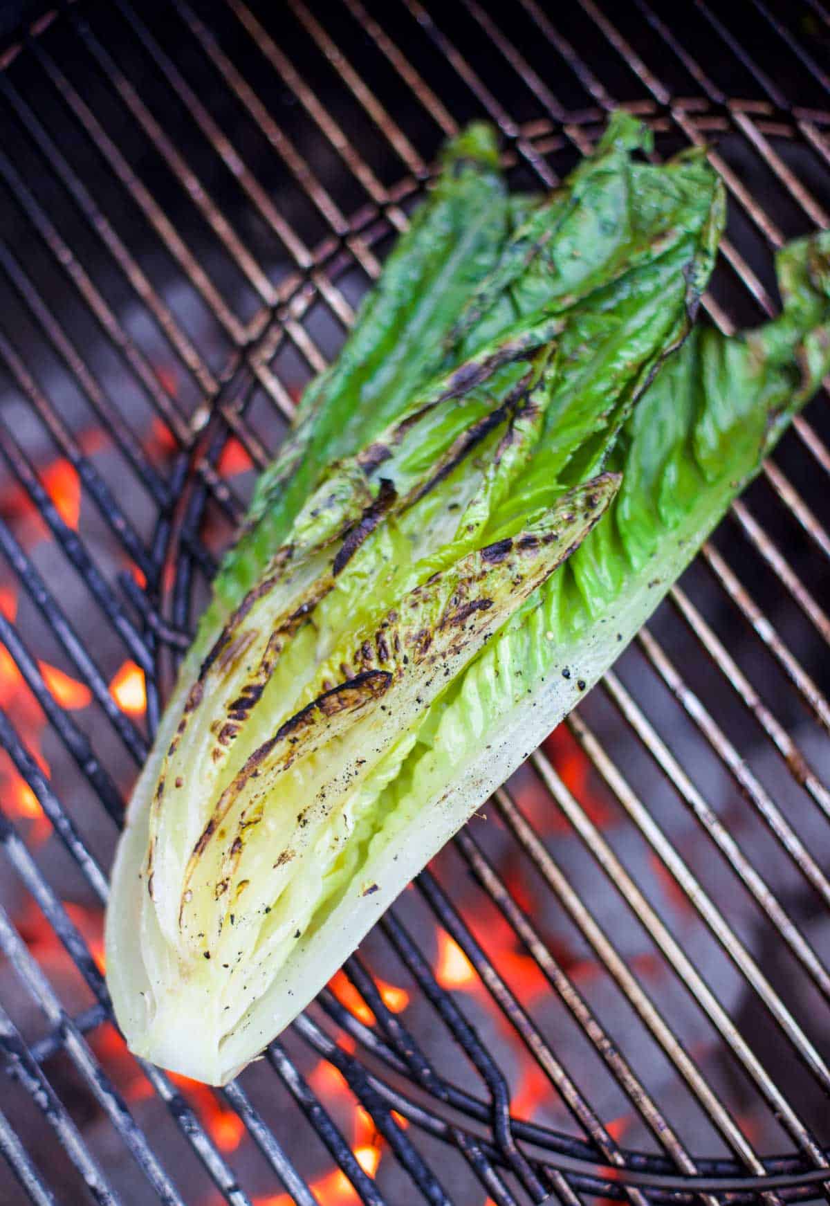 Grilled Romaine Lettuce