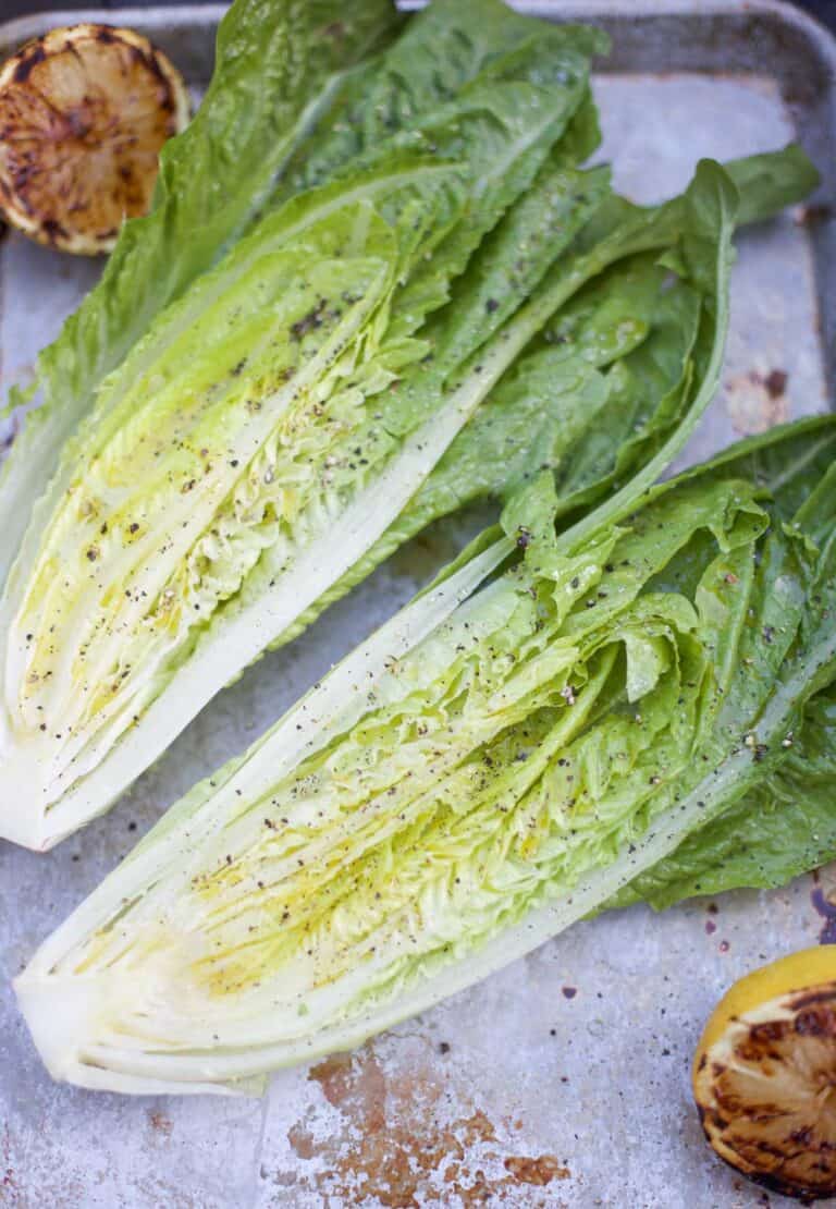 Grilled Romaine Lettuce with Tomatoes and Basil Vindulge