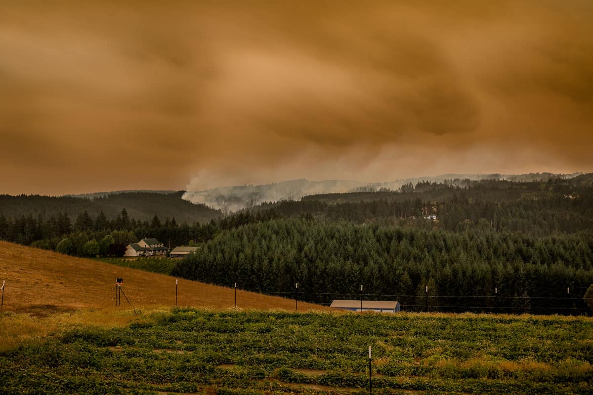 A view of the forest fire one mile from the Vindulge Studio in the Laurel area of Oregon.