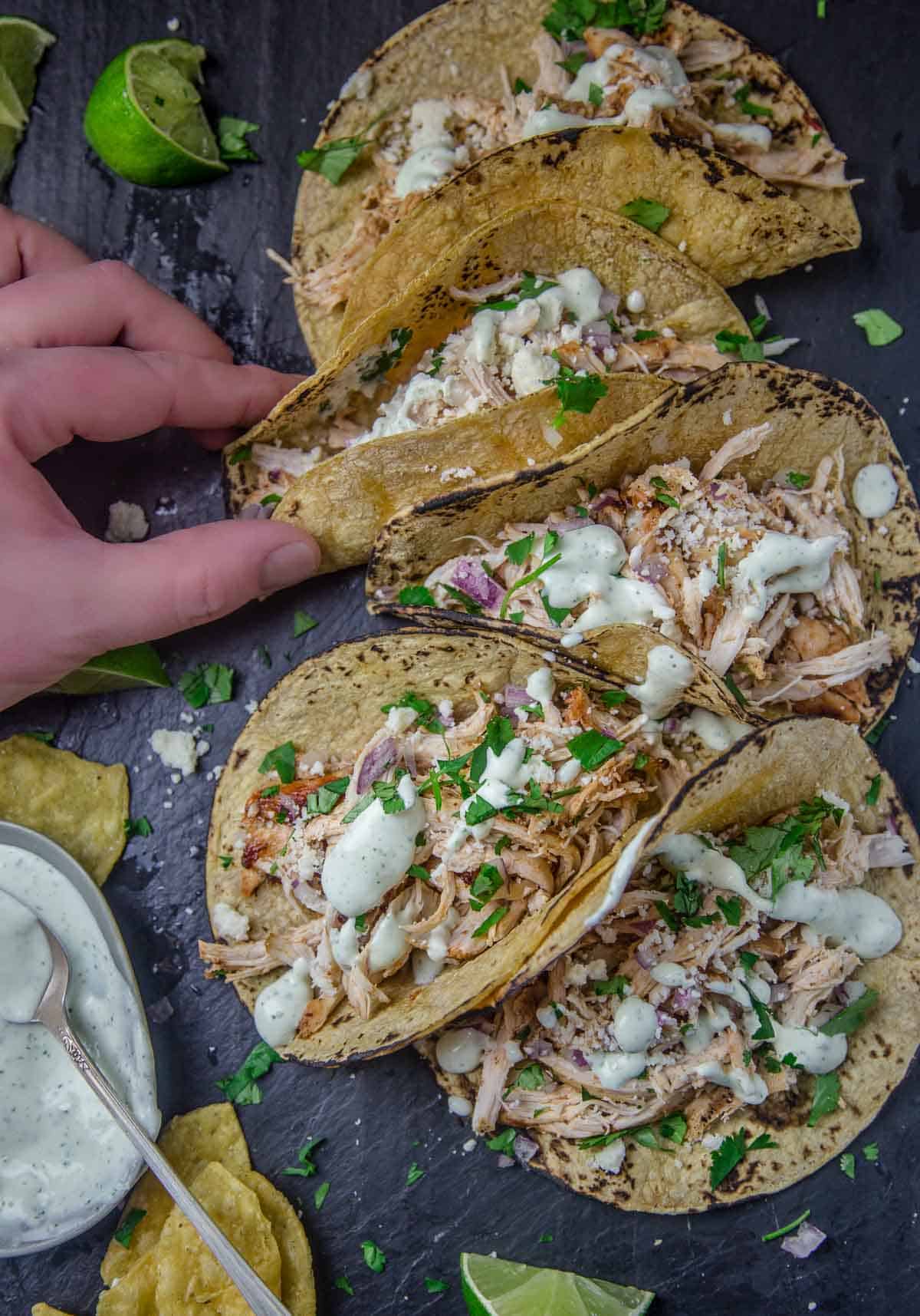 Spicy Chicken Tacos topped with avocado crema on a serving platter with a hand grabbing one taco