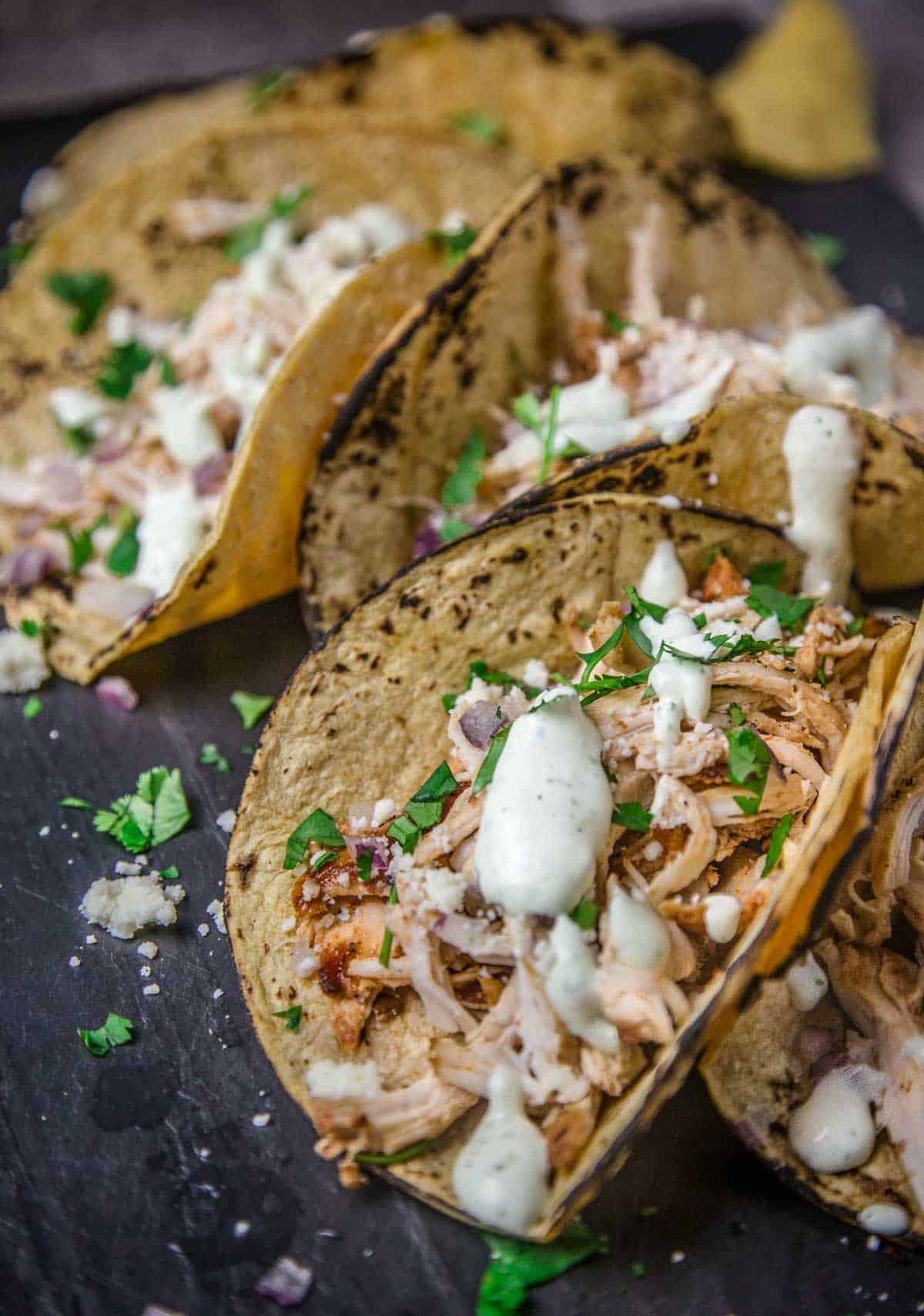 Spicy Grilled Chicken tacos on a platter topped with a avocado crema