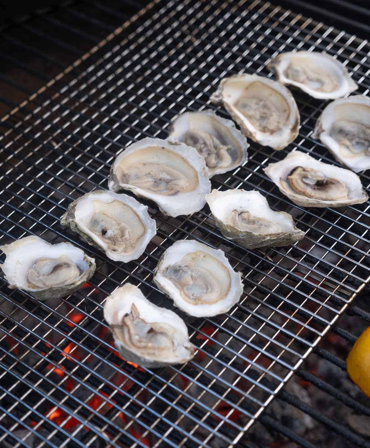 Oysters on the grill on a cookie drying rack to make for easy on and off the hot grill.