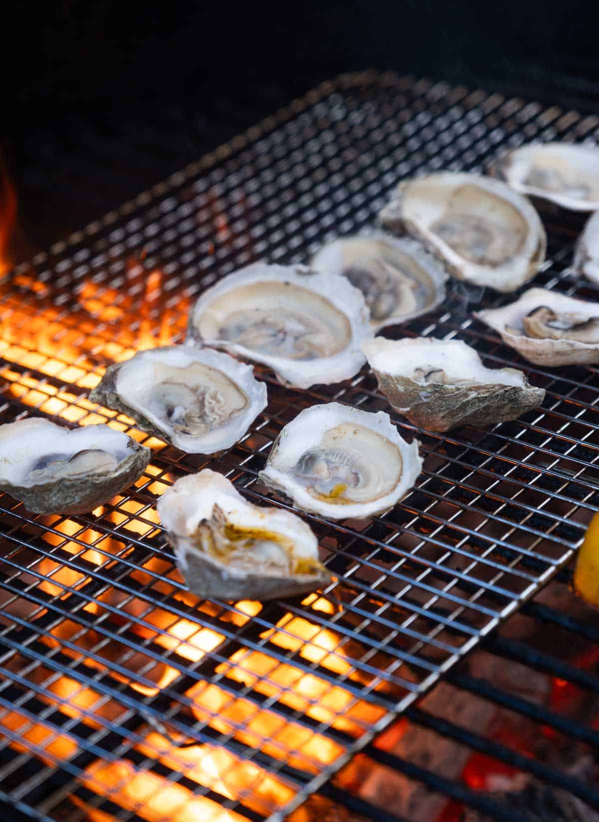 Grilled Oysters over direct heat.