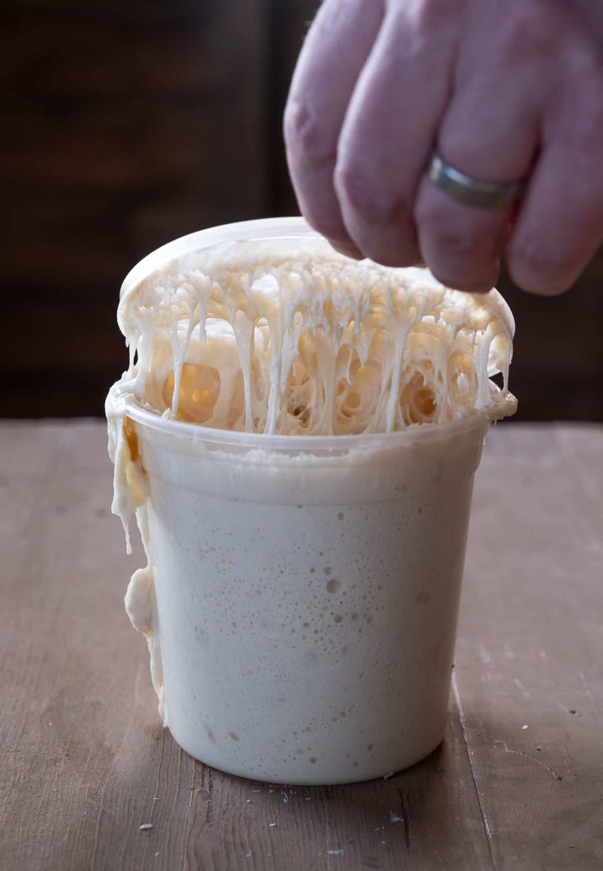 Sourdough starter in a plastic container