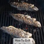 Three whole trout on grill grates over direct heat and tied up to hold in the stuffing.